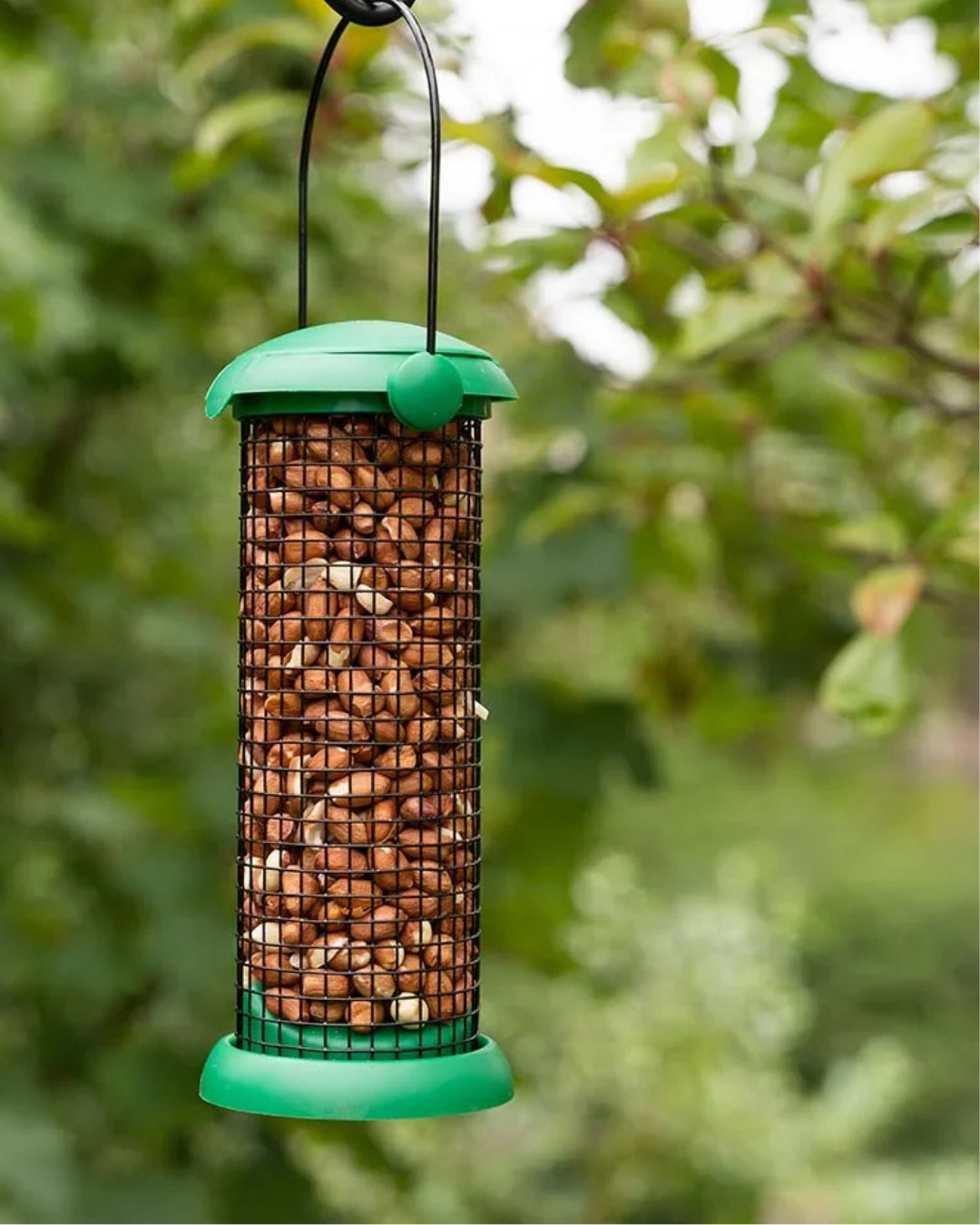 Bird Feeders
