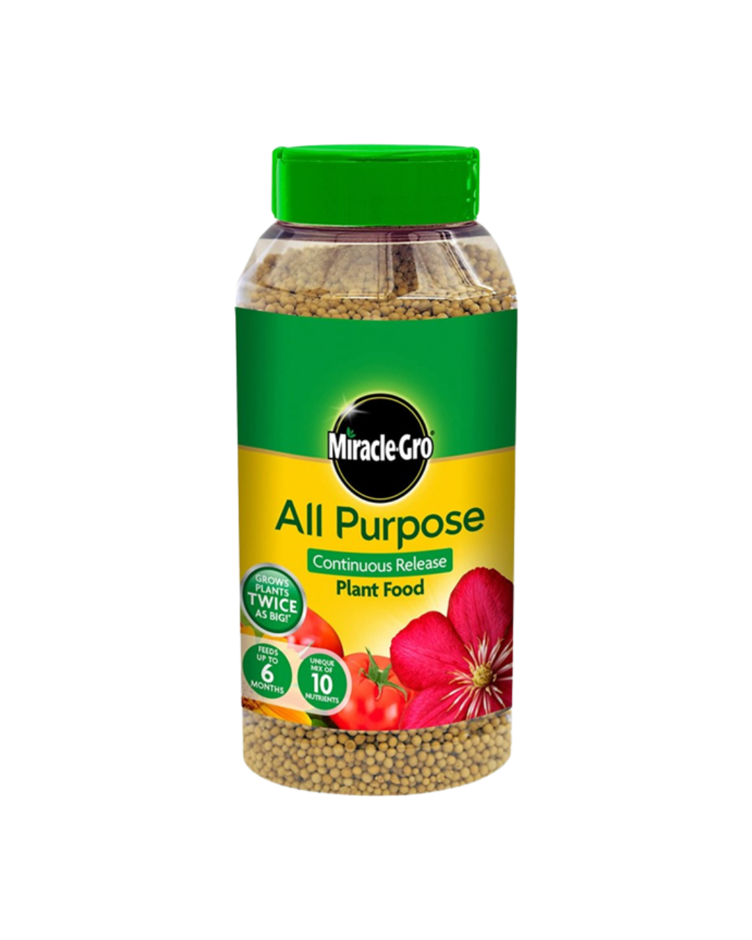 All Purpose Continuous Release Plant Food - 900g