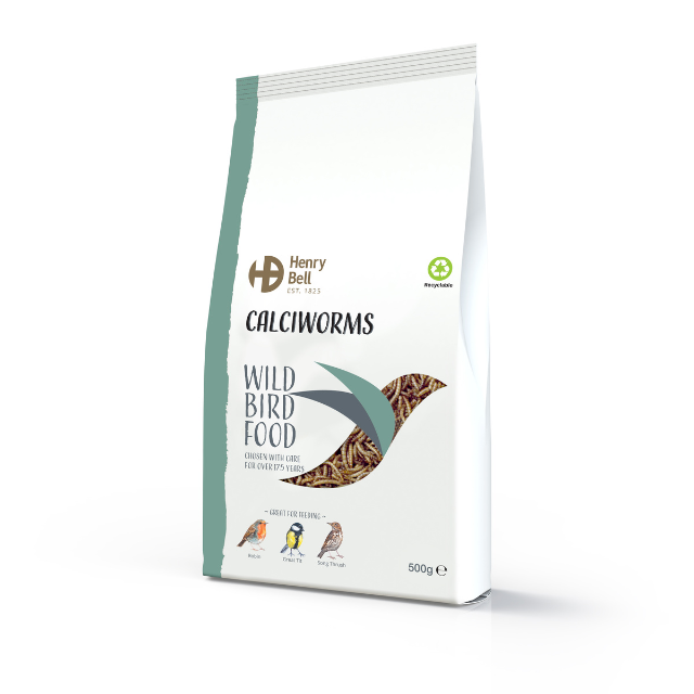 Mealworms (500g)