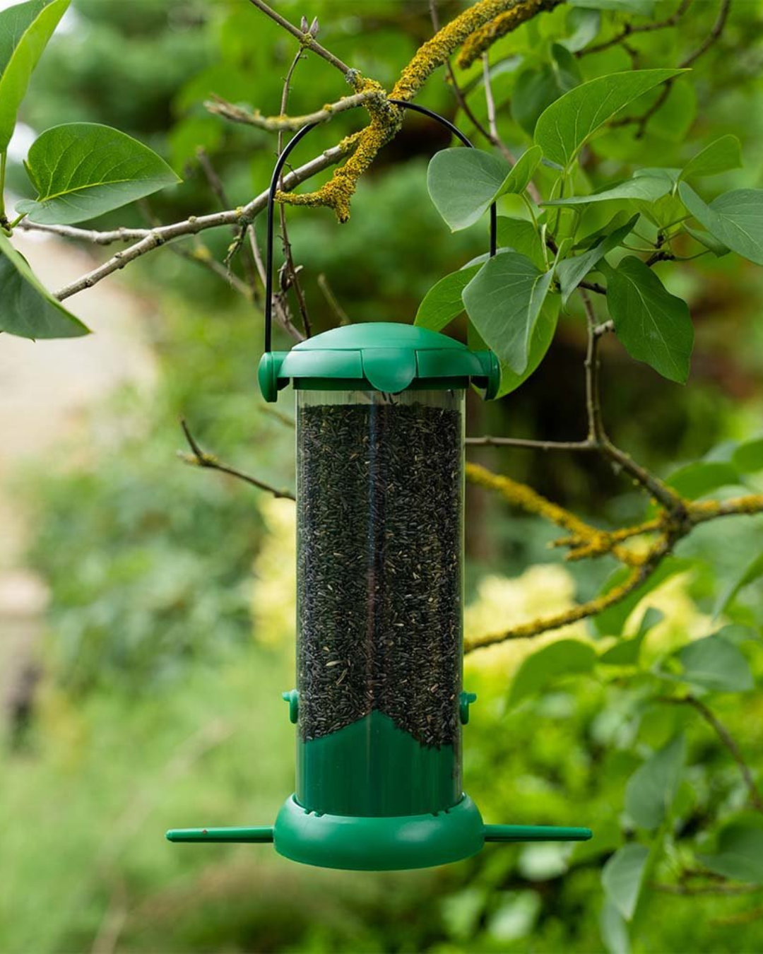 Nyger and Finch Feeder