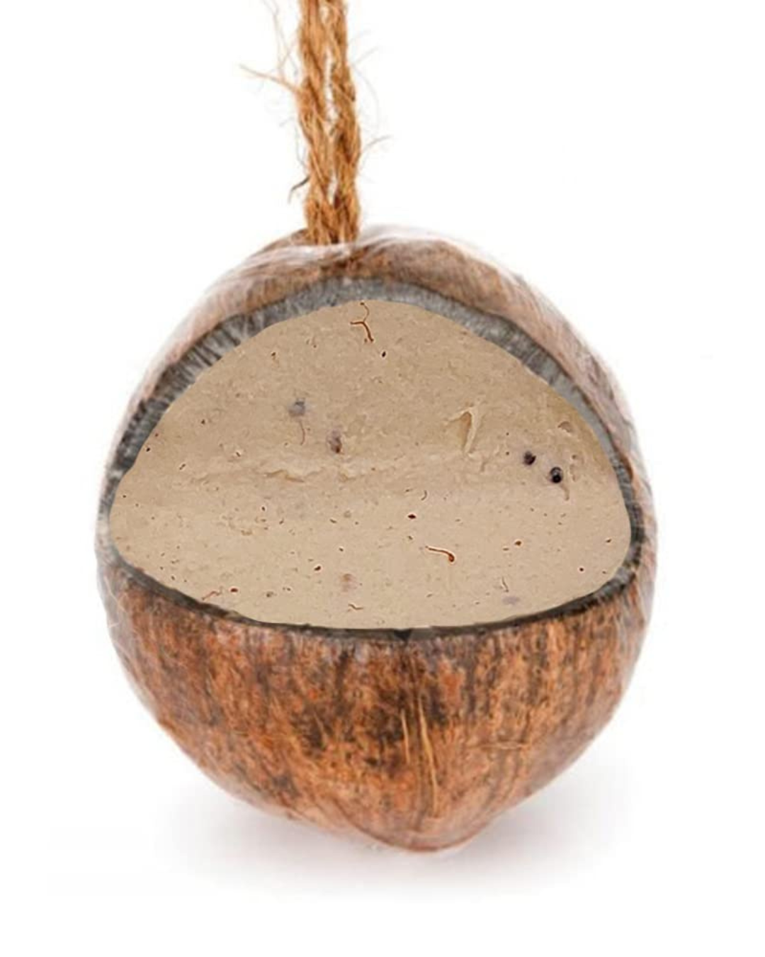 Suet Coconut Whole